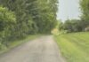 
			
				                                Hillman Ridge Road. Photo by Wade Linville
 
			
		