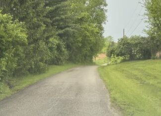
			
				                                Hillman Ridge Road. Photo by Wade Linville
 
			
		